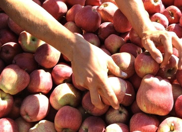 شقة Millenniumshof كالدورا المظهر الخارجي الصورة